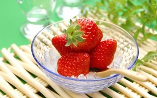 埃尔维斯 VS 科特卡